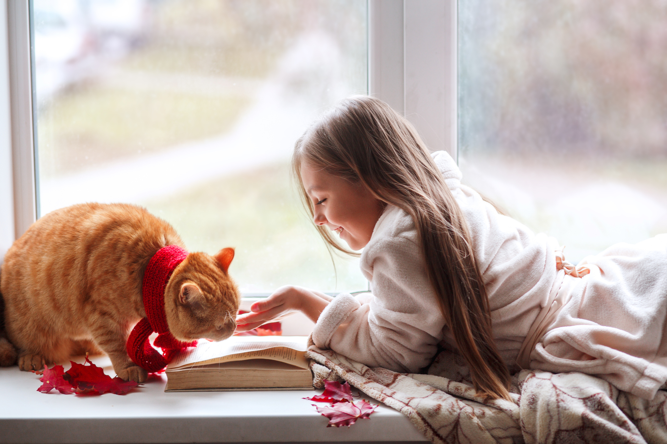 Photo of a girl reading with her cat