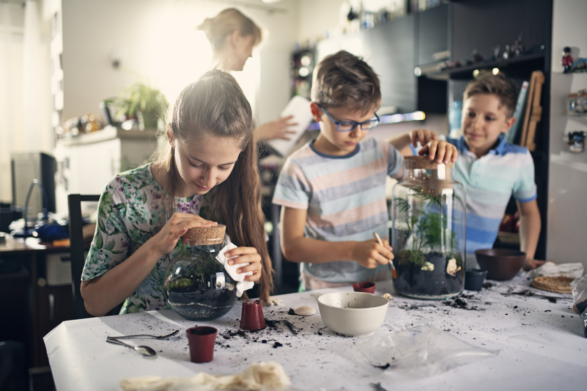 Students Learning science at home