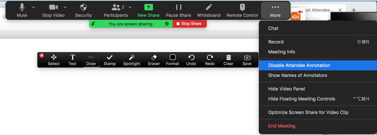 Zoom's disable attendee annotation screen shot