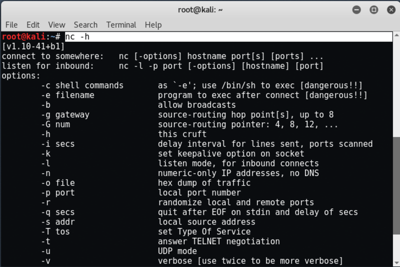 A screen capture of the Netcat interface.