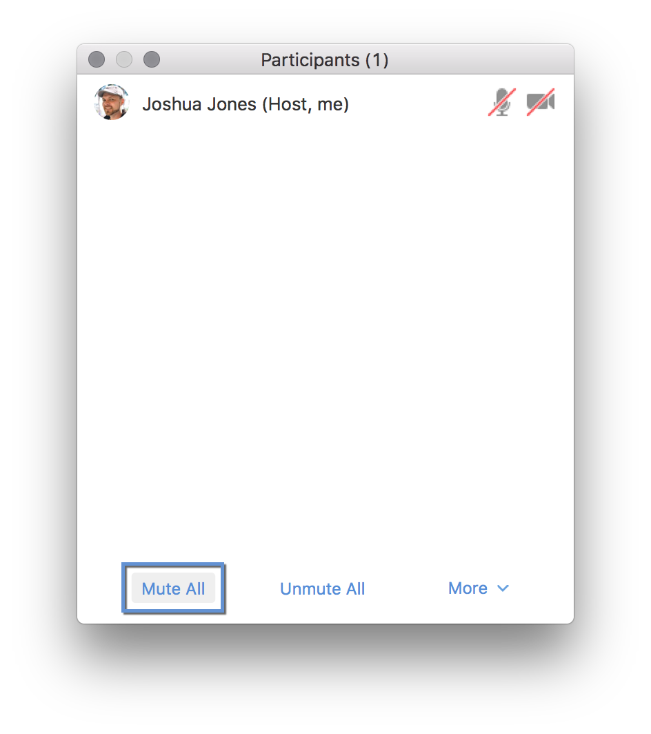 zoom mute participants