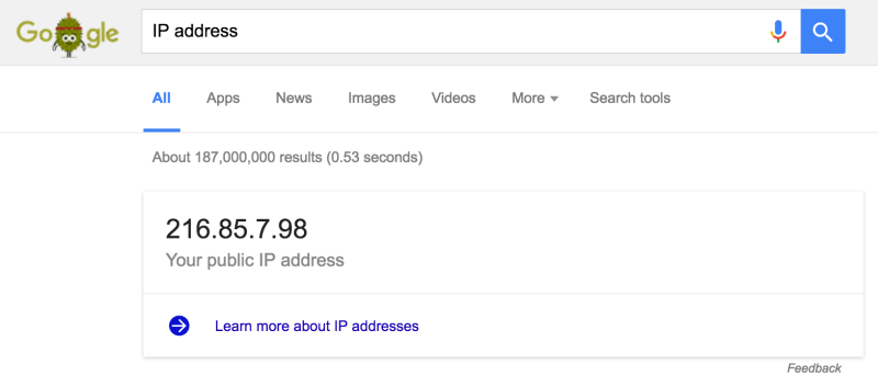 google ip address